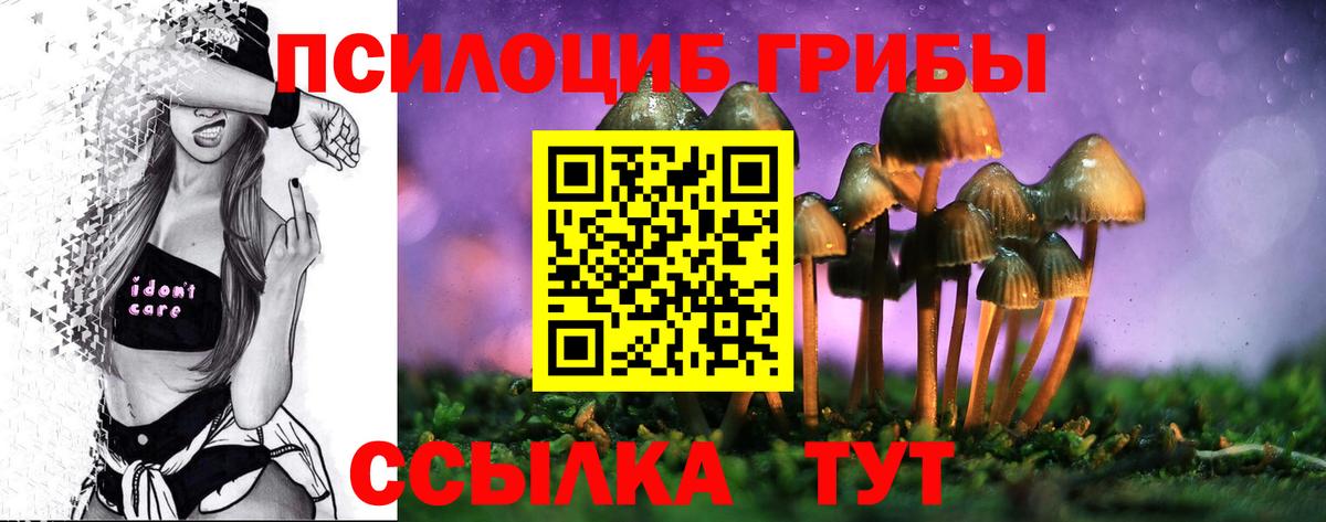 Псилоцибиновые грибы прущие грибы  Псилоцибиновые грибы Cubensis  Каменка  Вход с VPN 